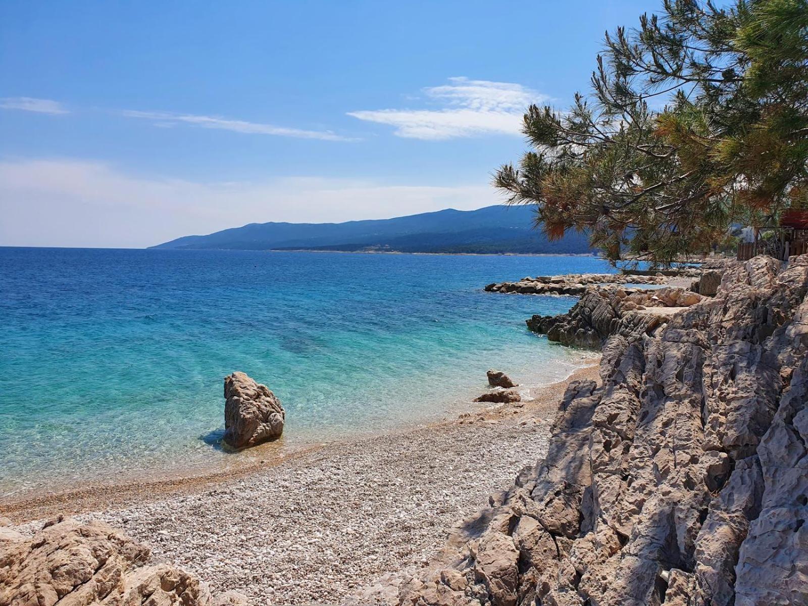 Orka